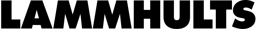 LAMM B